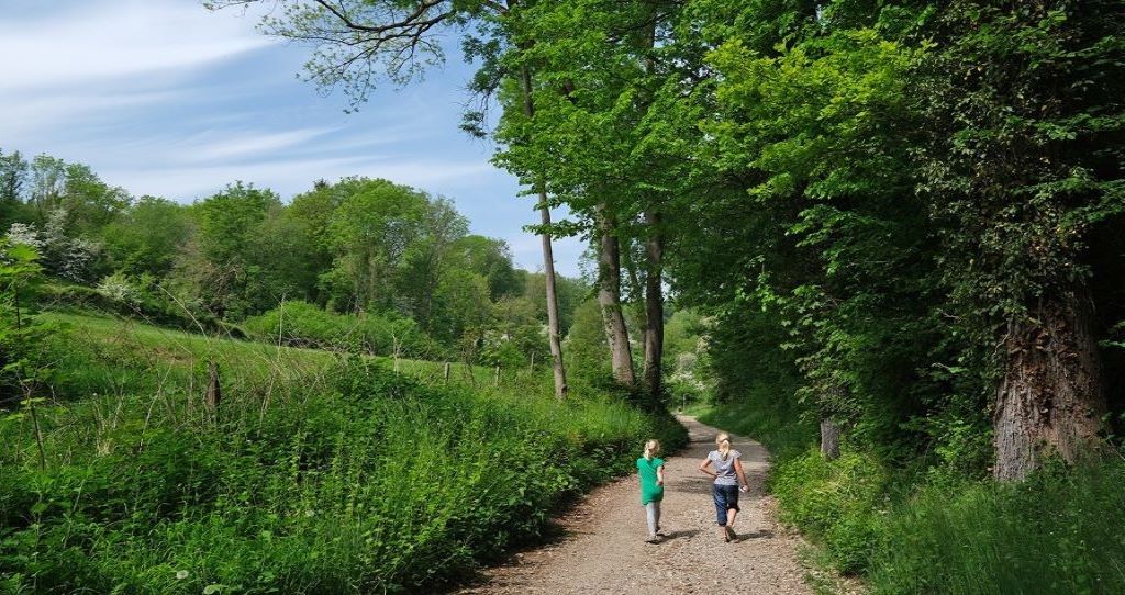 WANDELEN IN HET HEUVELLAND